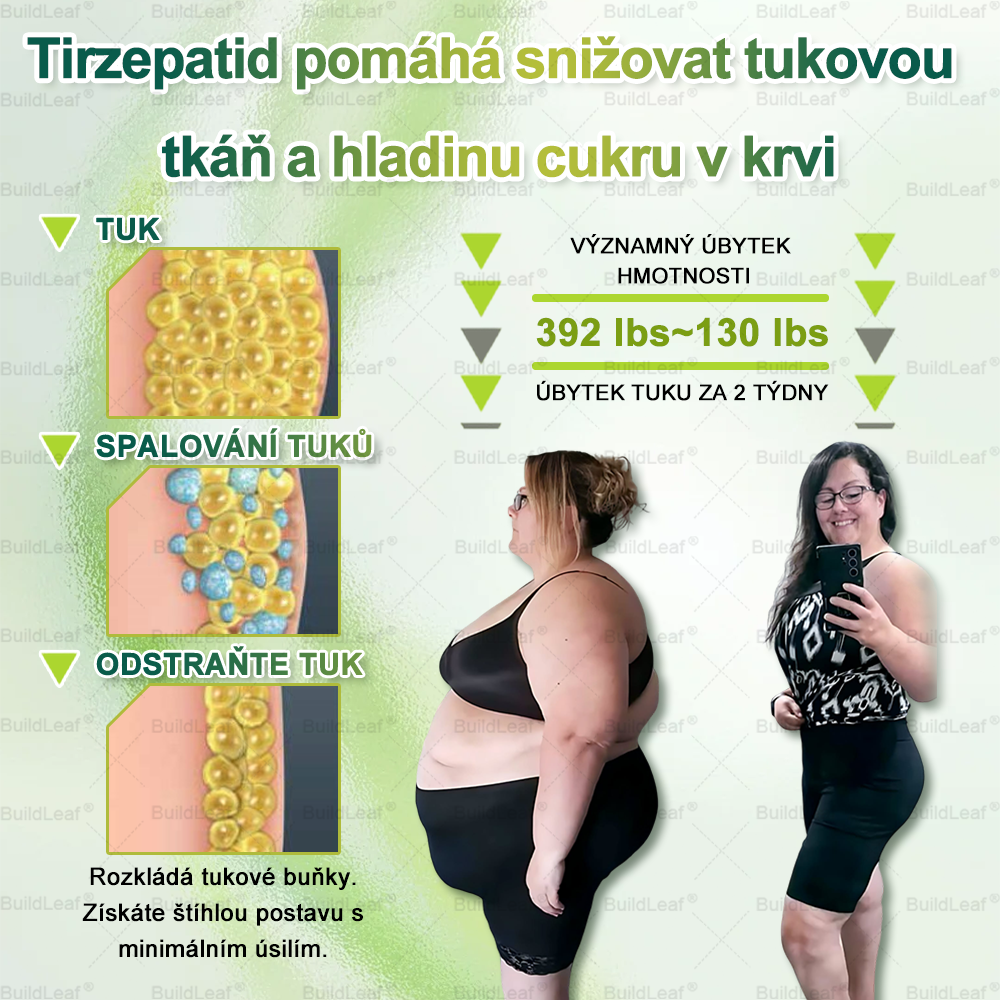 🍃Omezené zásoby! BuildLeaf®🎁Extra sleva 30%! Obnovte své tělo a zdraví.